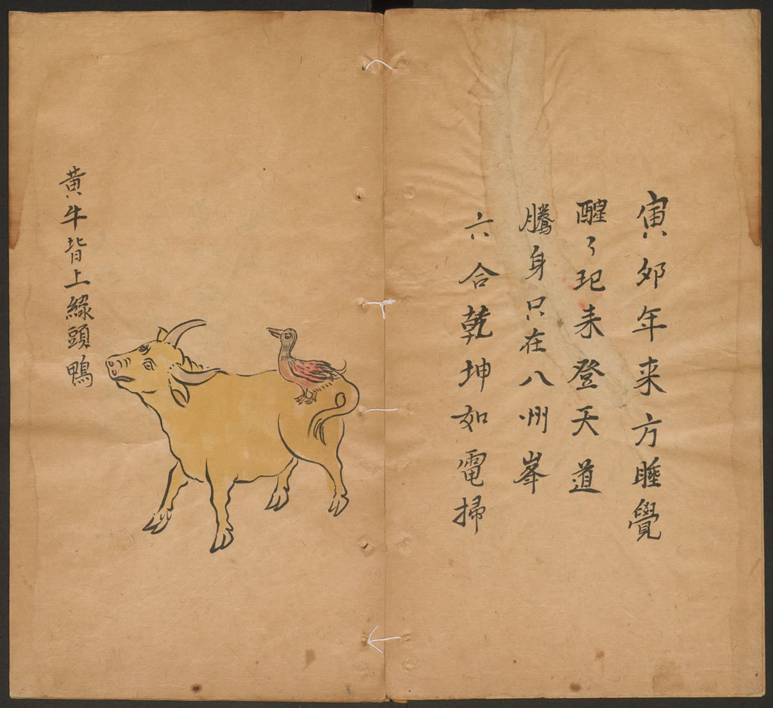第39张：黄牛背上绿头鸭，清康熙年间手抄彩绘本推背图，现藏哈佛燕京图书馆